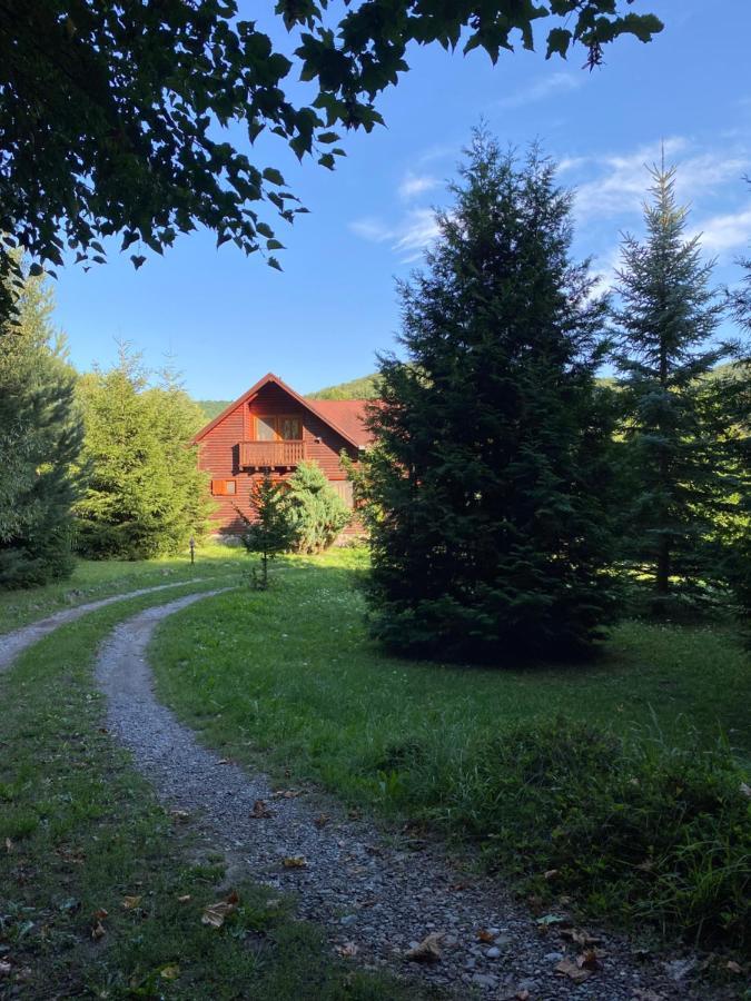 Csabi & Edi Vendeghaz Villa Sub Cetate Buitenkant foto